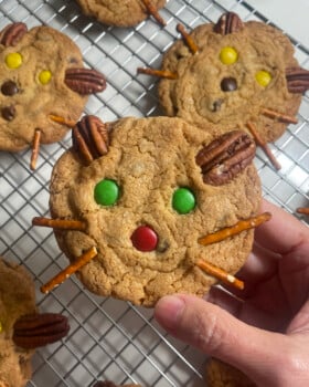 Hand holding a kitty cat chocolate chip cookie.