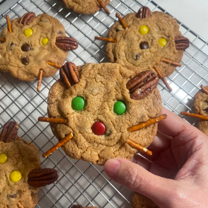 Hand holding a kitty cat chocolate chip cookie.