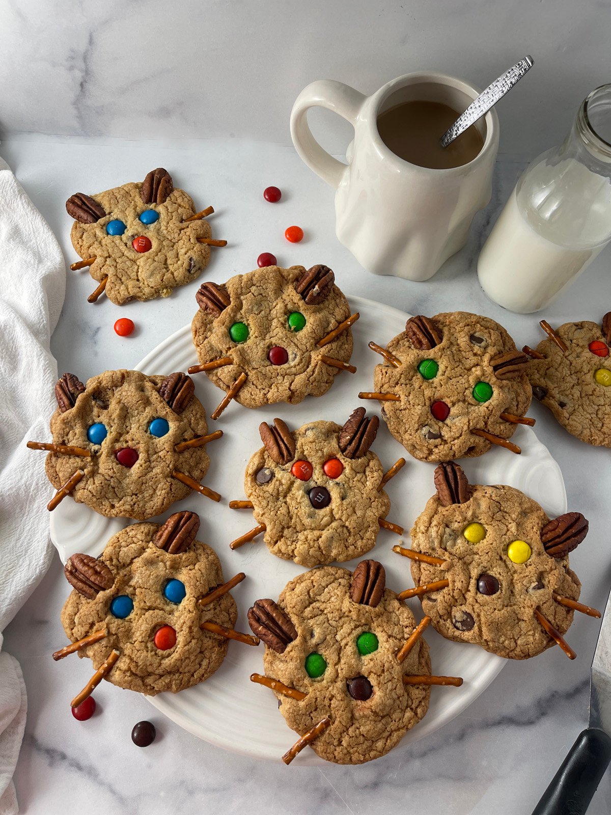 White plate filled with adorable kitty cat chocolate chip cookies.